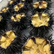県産の新鮮な野菜・鮮魚などこだわり県外のお客様にも好評をいただいております。ご予約の際に一言仰ってください。出来る限りの県産食材で料理致します。