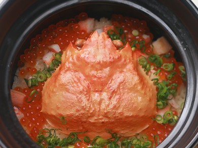 全てのコースに追加可能です。