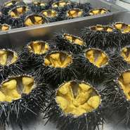 県産食材のお料理コース