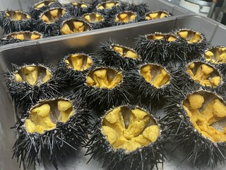 県産食材のお料理コース