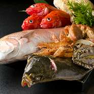 全国各地から、鮮度抜群の「魚介類」を取り寄せています。新鮮な魚だからこそ味わえる、極上の美味しさ。魚本来の持ち味を崩さぬよう、細心の注意を払って調理し、お客様のテーブルまで届けます。