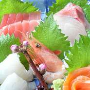 大洗の旬を堪能ください。