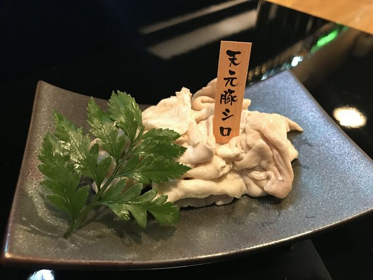 天元豚のシロ