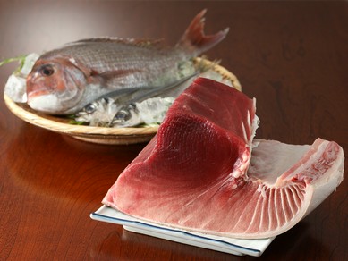 焼津の信頼できる業者から仕入れている「インドマグロ」