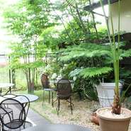 この中庭は「宝ヶ池ゆば泉」の思いが詰まった中庭です。店を見下ろすまでに成長したケヤキの木が季節の移り変わりを感じさせてくれています。
