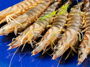 全国各地の珍しい食材を買い付け、仕入れしています