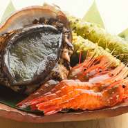 四季折々の美味しさを満喫できる魚介とシャリに最適な「つや姫」