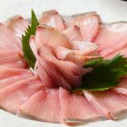 天然ものにこだわり、魚本来の旨味を活かすことを第一に考え、料理を提供し続けています。「大胆なものは大胆に、繊細なものは繊細に。素材に手を加えすぎないよう、シンプルに調理しています」