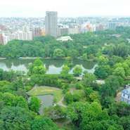 地上97ｍの眺望を見ながら和食で女子会はいかがでしょうか。お昼には四季折々の中島公園を、夜には夜景を見ながらお料理とお酒をお楽しみください。