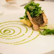 前菜・パスタ・魚料理・肉料理・ドルチェ・小菓子等全9品から10品と食後のお飲み物