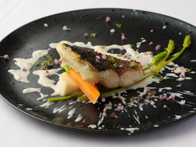 『直送鮮魚の炭火焼　豆腐のソース　花穂紫蘇添え』