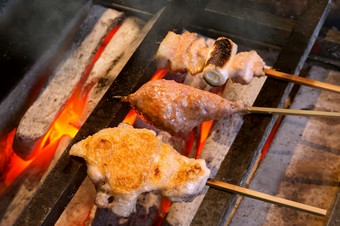 高知県土佐備長炭でじっくり焼いた極上の『焼鳥』
