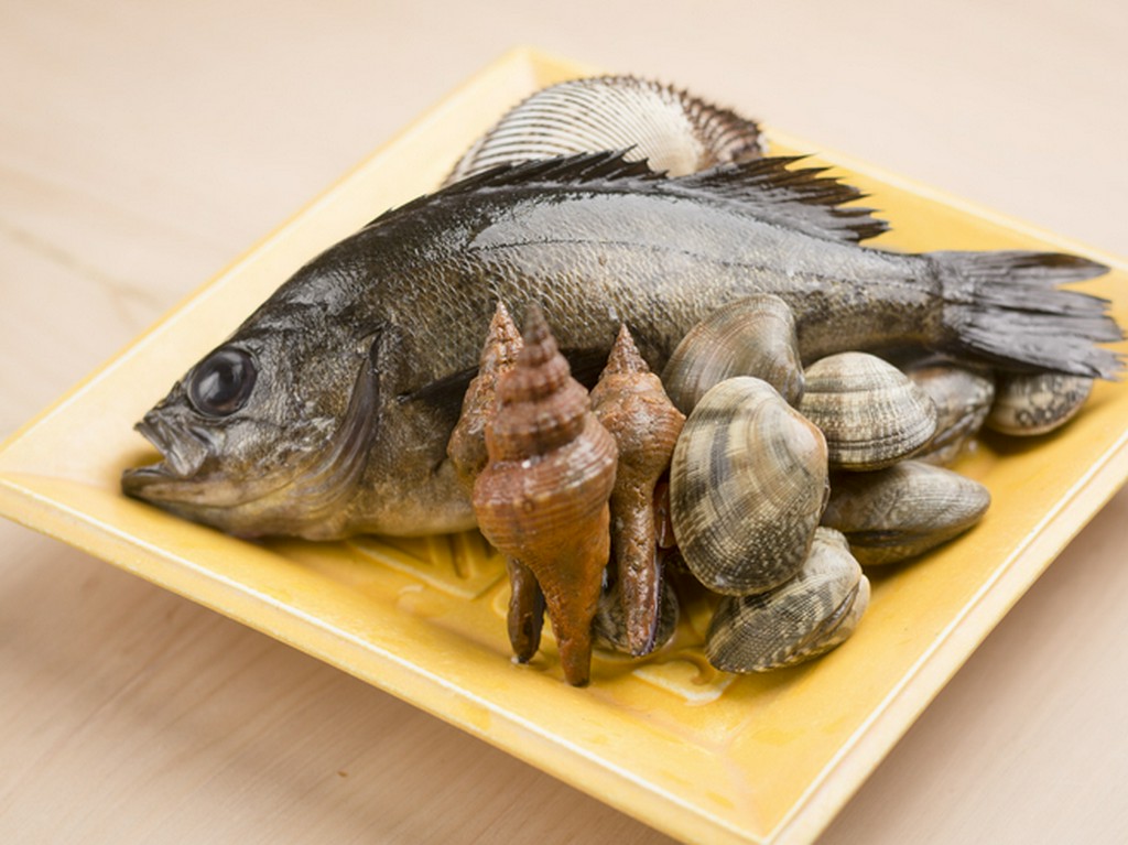 瀬戸内海の幸、山の山菜、タケノコなど、地物にこだわった食材
