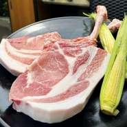 ※こちらにコースはお料理のみのコースはございません※甲殻類や卵　その他アレルギーをお持ちの方はご予約時に必ずお知らせ下さいませ※時季や仕入の都合により内容が若干変更する場合もございます※※消費税（10％）を含んだ金額でご案内致しております。サービス料は頂戴しておりません。※お席の確保時間は120分となります。