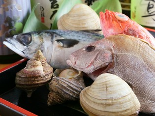 鮮度と季節感にこだわり買い付けされる、脂が乗った鮮魚