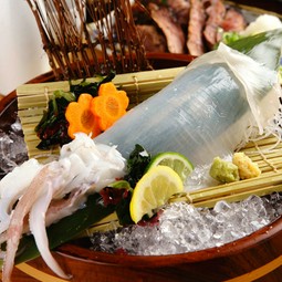 山陰産白いか姿盛り（丸一匹）