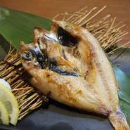 日本海の高級魚。白身魚のトロ！