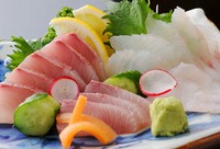 鰹、太刀魚、アザハタ、クロタチカマス、イシナギ、オキサワラ、フエ鯛、甘鯛、シブ鯛、シマアジ、ブリ、クエ、チャイロマルハタ、やら、あれやこれや…
