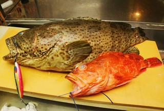 味楽(みらく)のお魚 #その1#