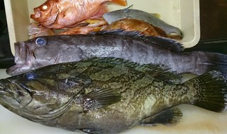 味楽(みらく)のお魚 #その3#