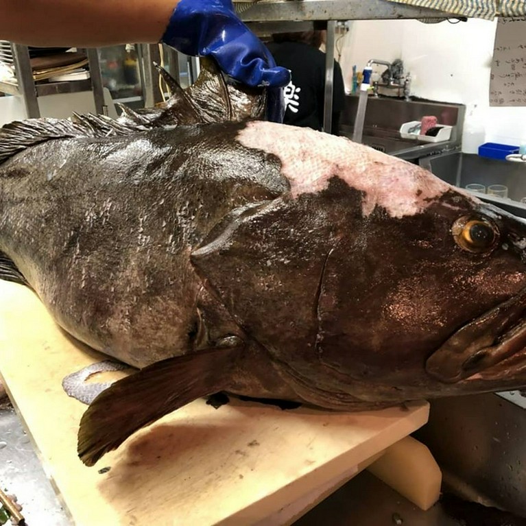 味楽(みらく)のお魚 #その6#