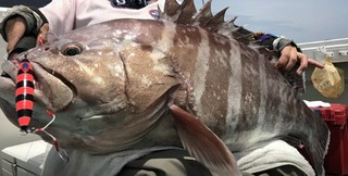 味楽(みらく)のお魚 #その8#