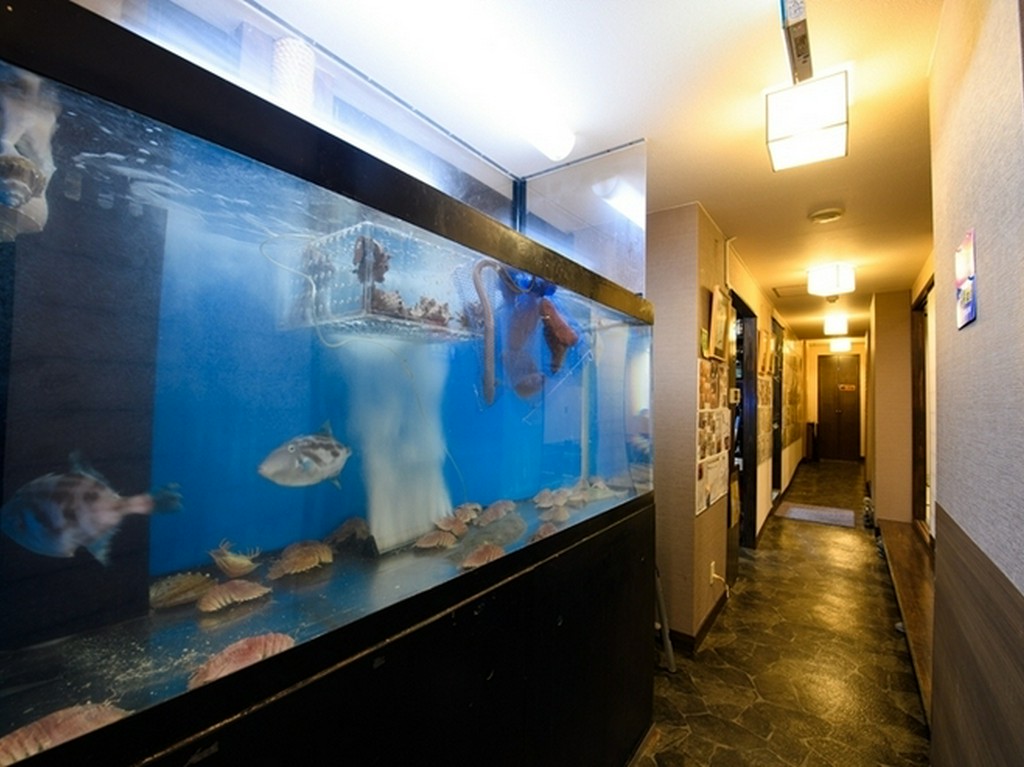 養殖に頼らない、天然モノにこだわった魚！