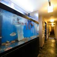 店内の生簀では、獲れたばかりの新鮮な魚が泳ぎます。飲み仲間の漁師から驚くほど安く仕入れているため、リーズナブルに提供できるのが強み！ヒラメやウチワエビなど、旬の海鮮をご用意しています。