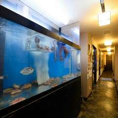 養殖に頼らない、天然モノにこだわった魚！