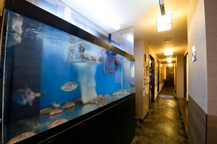 養殖に頼らない、天然モノにこだわった魚！