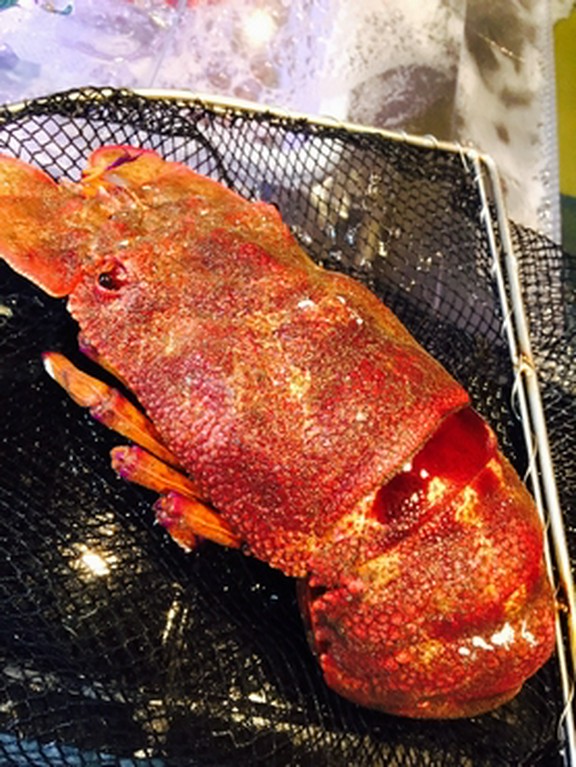 【おすすめ】せみ海老　8,000円～