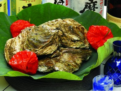 岩牡蠣 1,000円～1,200円（税抜）