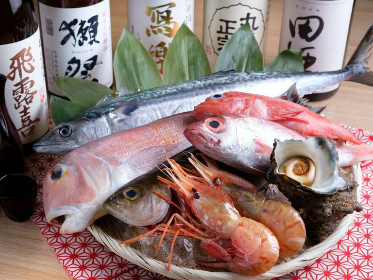 漁師さんから直送の新鮮な魚介類をいろいろな料理で満喫