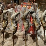 国産本鮪と千葉県産鮮魚の盛り合わせや鮎の塩焼きと風干し焼きをお楽しみいただけます。