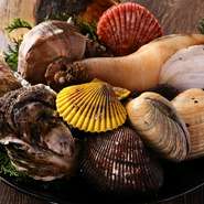 水産物卸会社直営の同店は新鮮な旬の素材をほぼ毎日入荷します