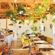 リゾート地のような開放的な空間で、木のぬくもりと心を癒してくれるグリーンに囲まれたイタリアンカフェ。