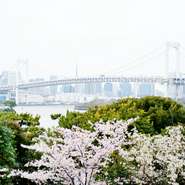 木々の合間から見える東京湾、そしてレインボーブリッジに東京タワー、さらに最近はスカイツリーまで望み見ることができます。春夏秋冬の東京の美しさを俯瞰（ふかん）で見る愉しみが、ここにはあります。