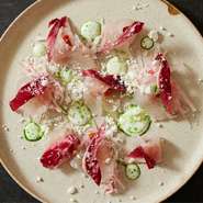 Ehime Prefecture Sea Bream Carpaccio with Parsley and Yogurt sauce