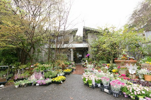 大切に手入れされている季節の花々