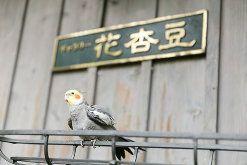 地元の人たちに愛され続けている憩いのカフェ