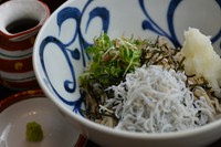 しらすとおろし、特製の薬味と一緒にどうぞ！