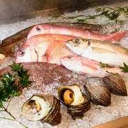 素材が命、シンプルに味わう調理法だからこそ、産地直送のこだわり食材が日々入荷。地物も多く、かきや穴子料理は県外の方にもおすすめ。