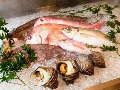 広島県の接待 会食におすすめのお店 接待 会食におすすめのお店特集 お好み焼き もんじゃ ヒトサラ