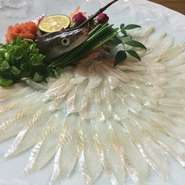 広島名物のアナゴは、刺身で食べられるお店が限られています。【鉄焼酒房　蜂ヤ　本店】では、より鮮度の高いアナゴ刺しを提供するため、店内の生け簀からあげたばかりの新鮮なアナゴを調理しています。