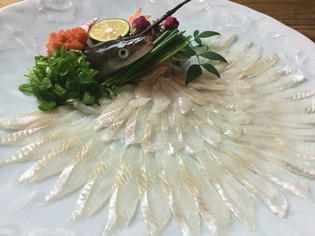 生け簀からあげたての鮮度で提供する『アナゴ刺し』