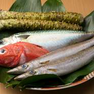瀬戸内産の旬魚をメインとしたネタを中心に全国各地より天然物の鮮魚を仕入れています。瀬戸内産は主に、小魚が多いのが特徴で、その鮮度はお墨付き。握りで、一品料理で瀬戸内の魚の美味しさを感じてください。