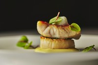 アミューズ
前菜
スープ
魚料理
お口直し
メイン料理
デザート
食後のお愉しみ

※サービス料10%別途頂戴いたします。