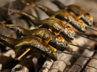 各地に足を運び、手に入れた「食材」