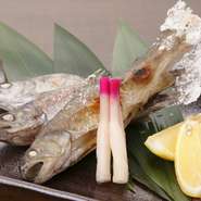 季節感を大切にし、素材の持ち味を最大限まで高めた料理はまさに秀逸。海外からの客人にも日本の文化を気軽に楽しんでもらえるようにと、手ごろな金額で提供しているのだとか。温かな心遣いが感じられます。