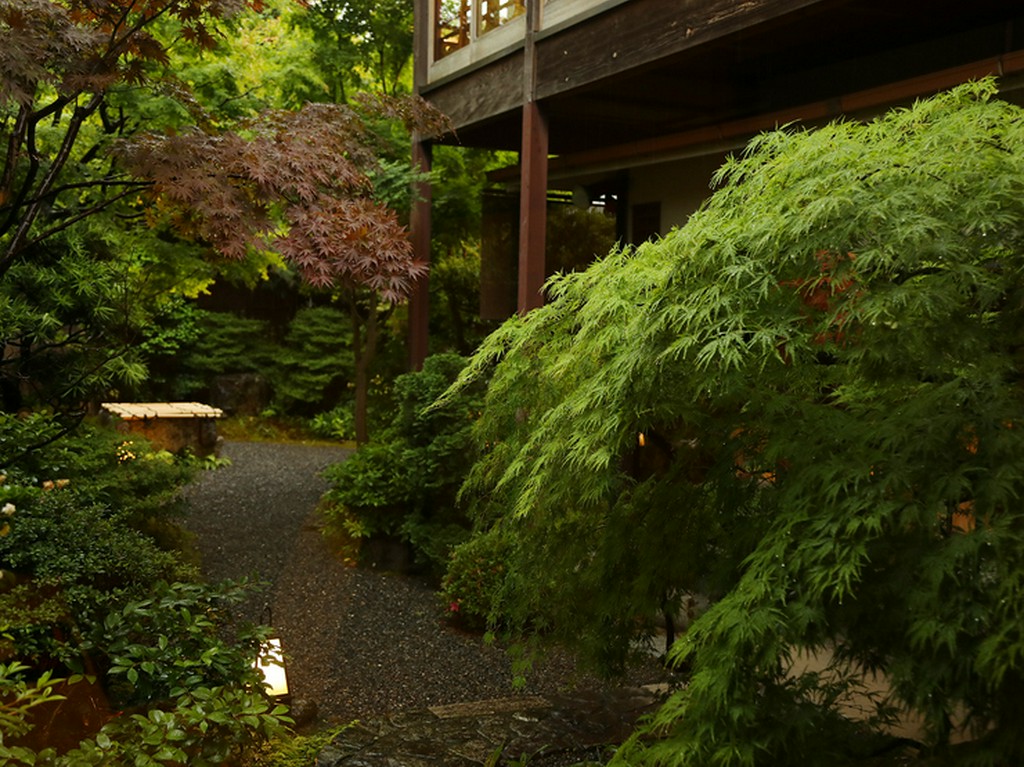 四季のお料理を味わい下さい。